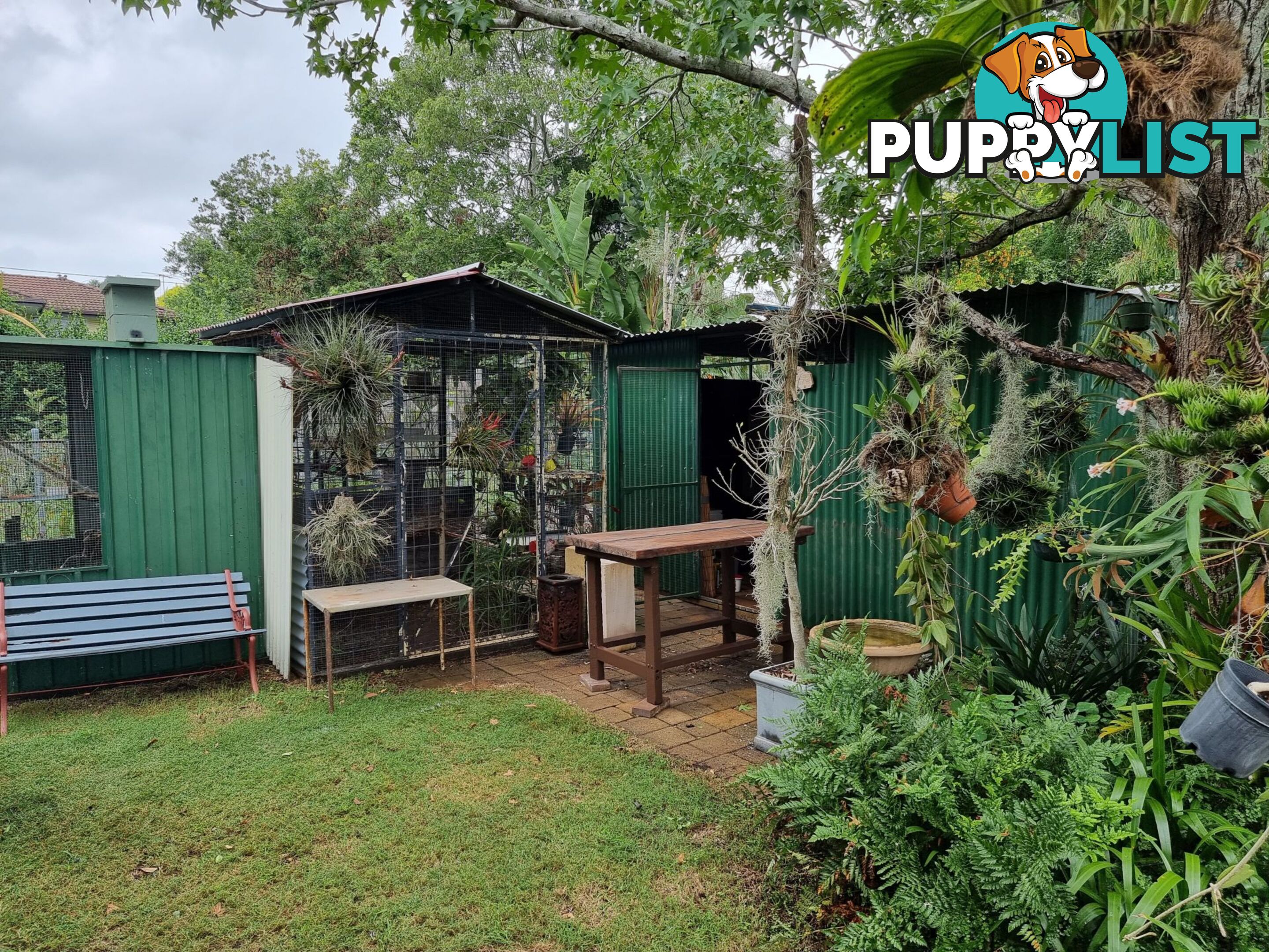 36 Carinya Street Kingaroy QLD 4610