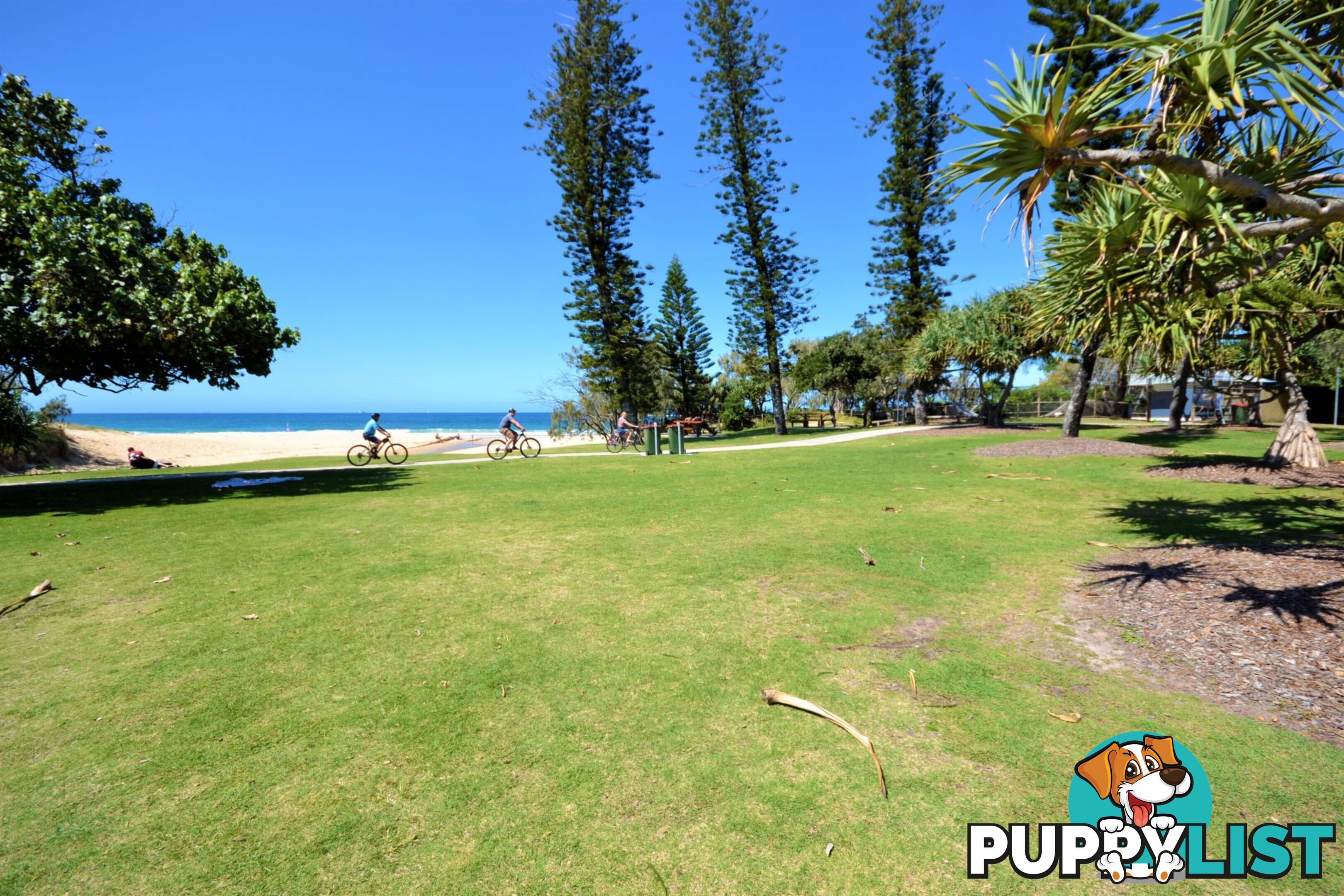 25 2 Beerburrum Street Dicky Beach QLD 4551