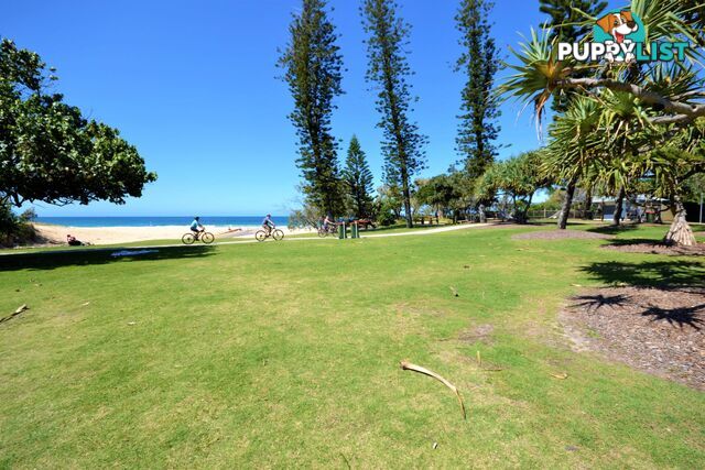 25 2 Beerburrum Street Dicky Beach QLD 4551