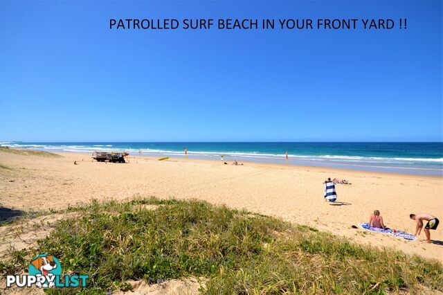 25 2 Beerburrum Street Dicky Beach QLD 4551