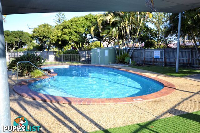 25 2 Beerburrum Street Dicky Beach QLD 4551