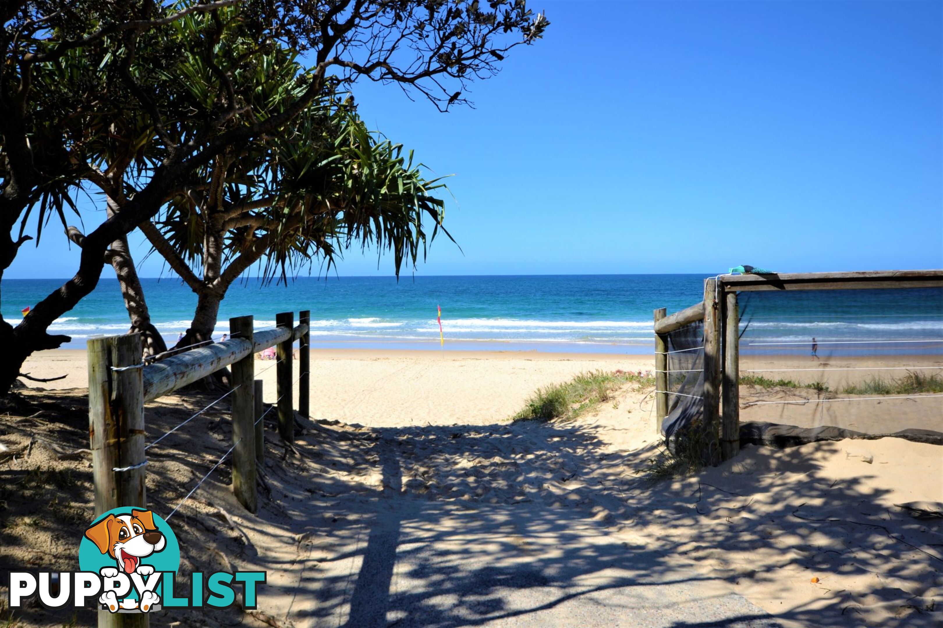 25 2 Beerburrum Street Dicky Beach QLD 4551