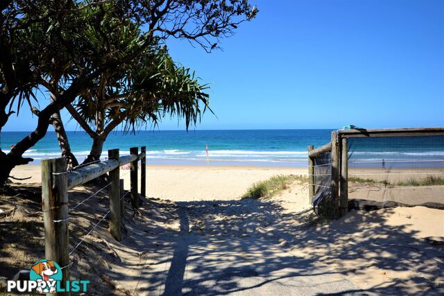 25 2 Beerburrum Street Dicky Beach QLD 4551