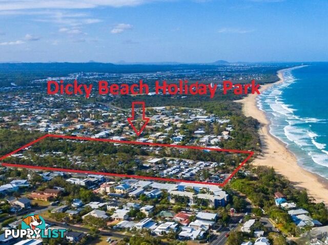 25 2 Beerburrum Street Dicky Beach QLD 4551