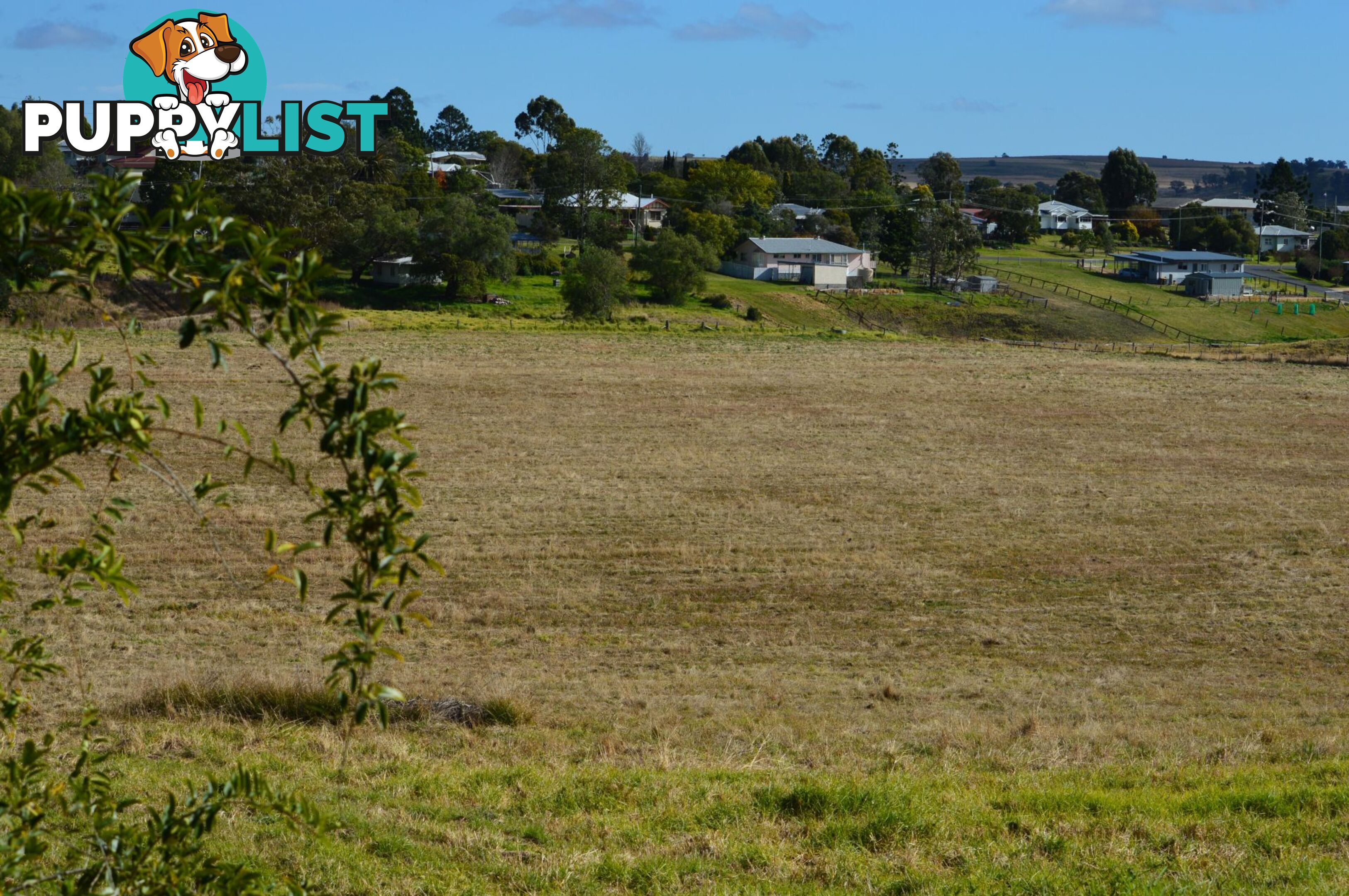 Lot 1 Olive Street Killarney QLD 4373