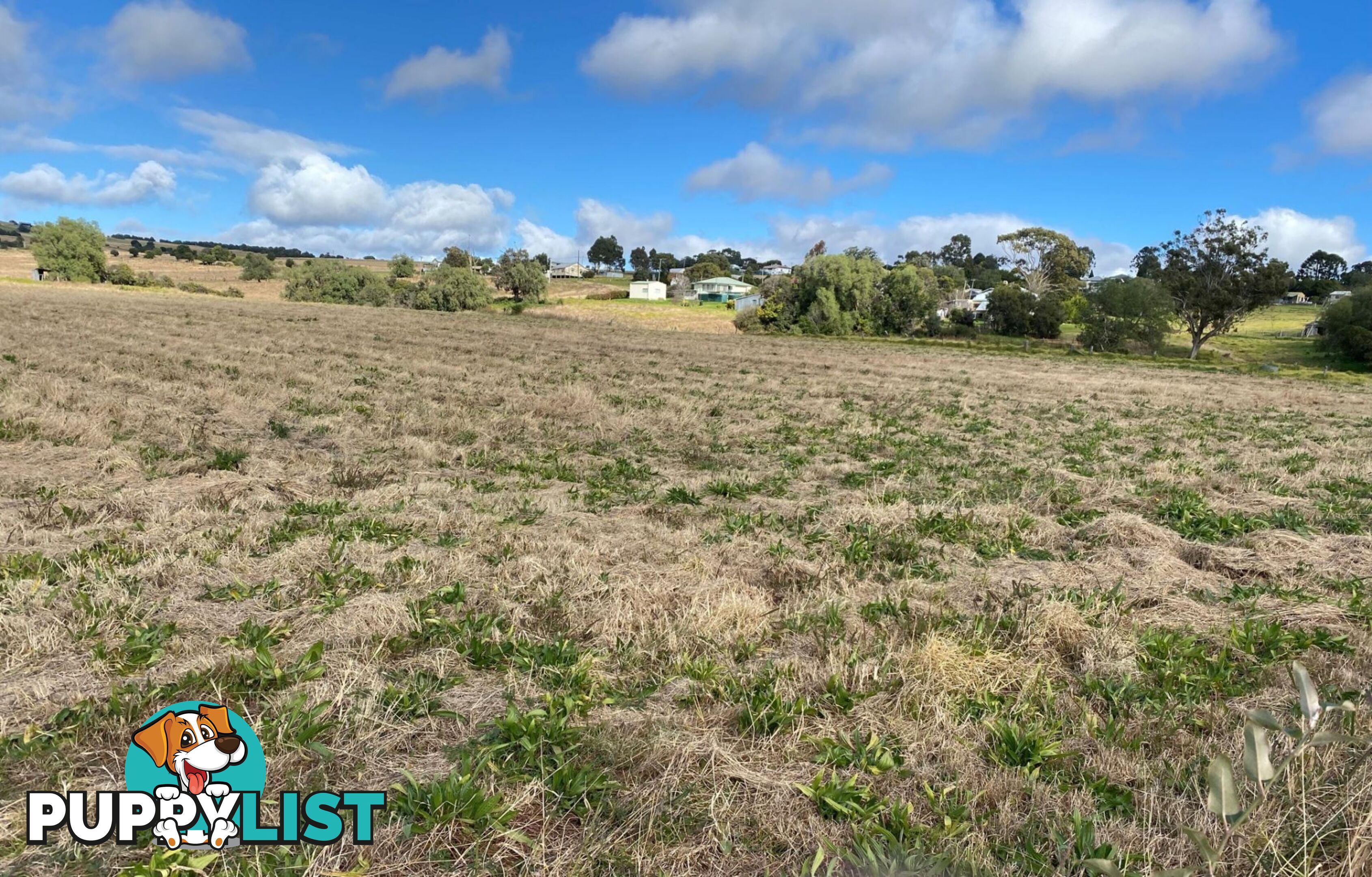 Lot 1 Olive Street Killarney QLD 4373