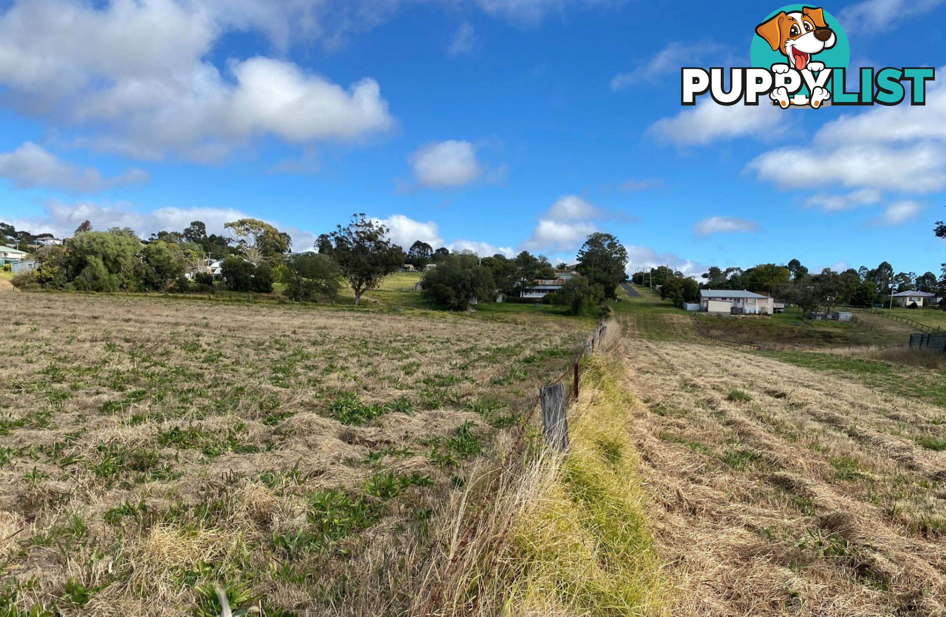 Lot 1 Olive Street Killarney QLD 4373