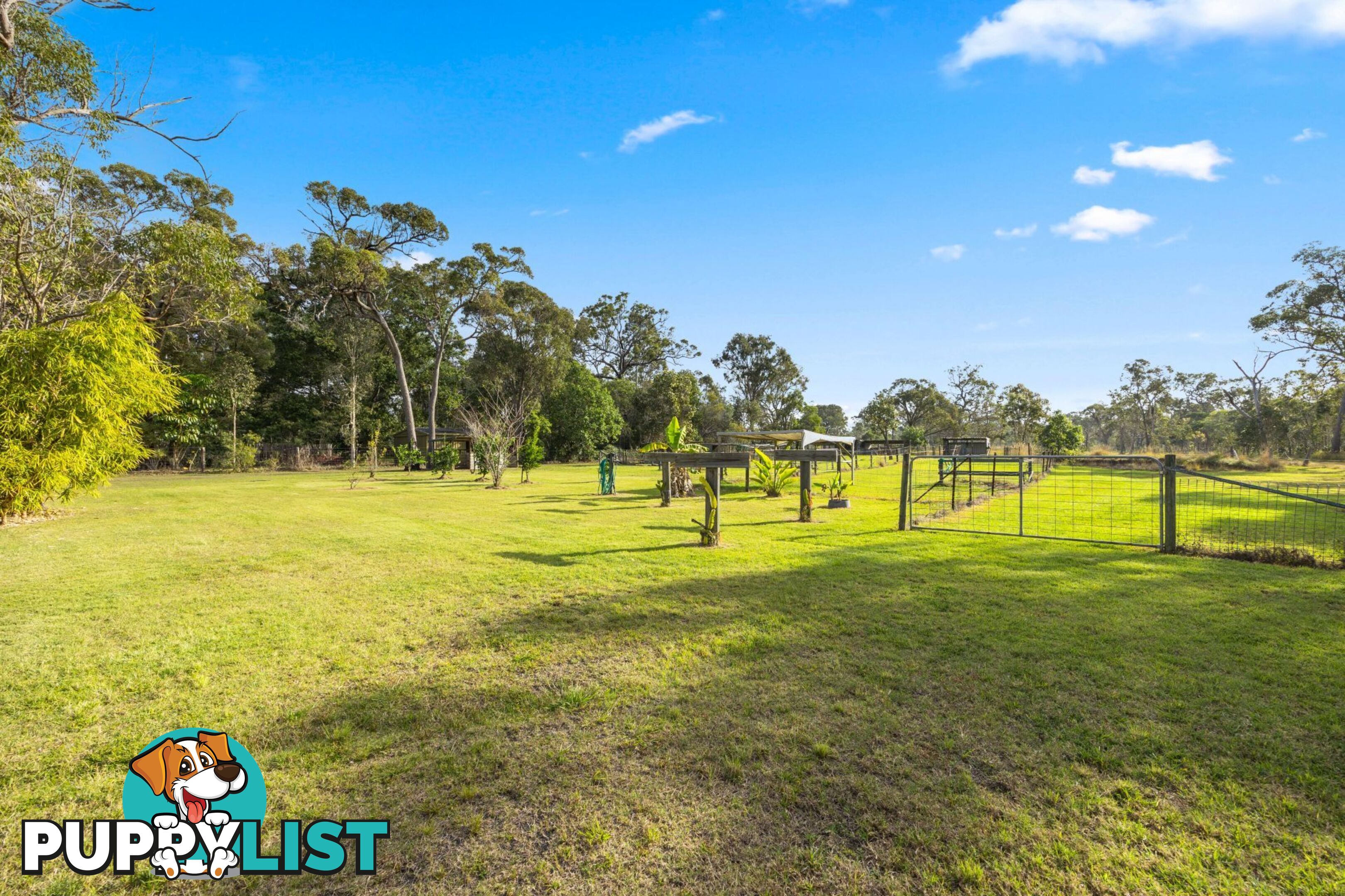 113 Carter Lane Dundathu QLD 4650