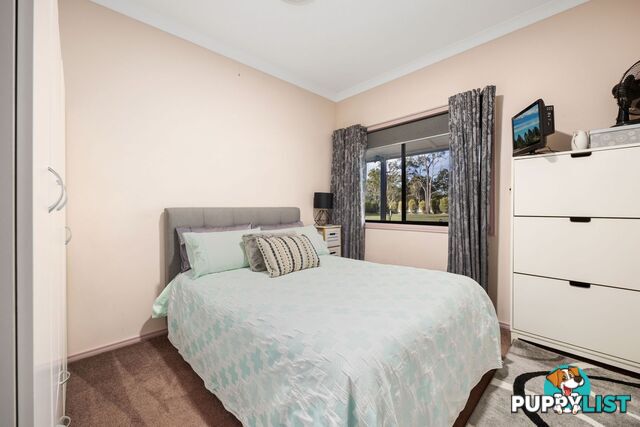 113 Carter Lane Dundathu QLD 4650