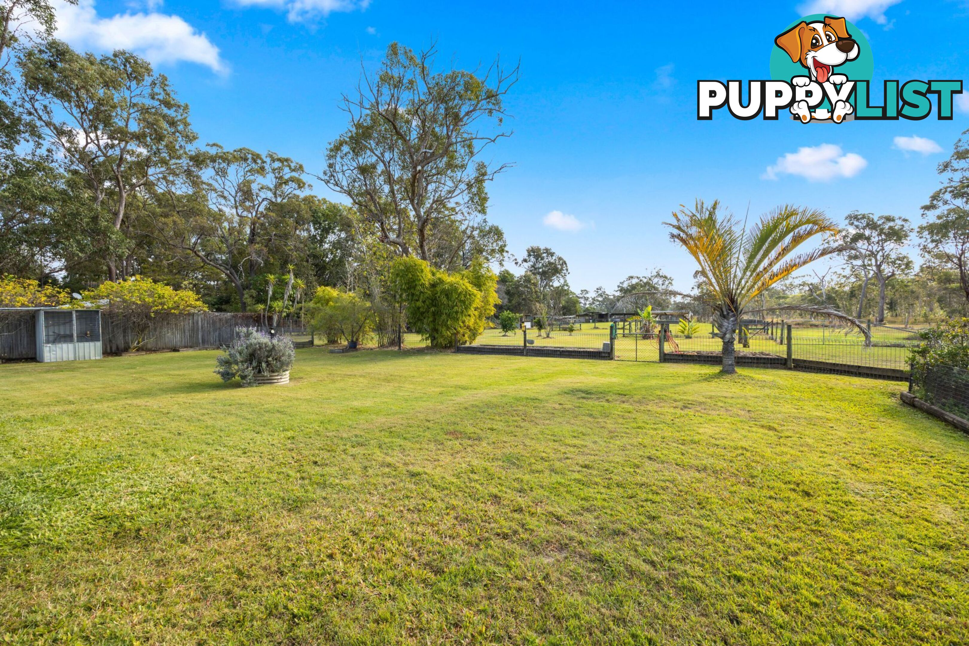 113 Carter Lane Dundathu QLD 4650