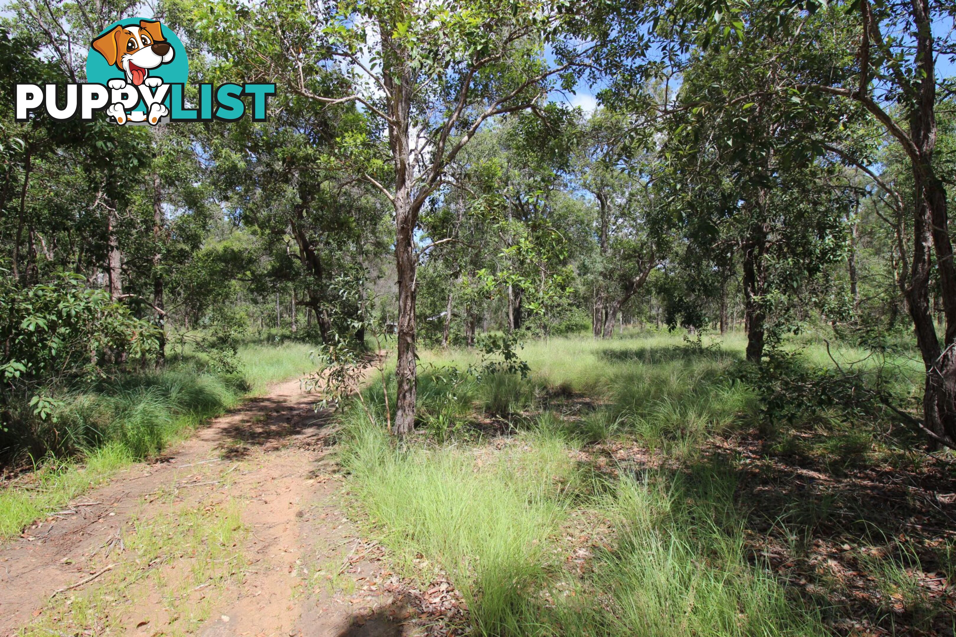 230 Parsons Road Nanango QLD 4615