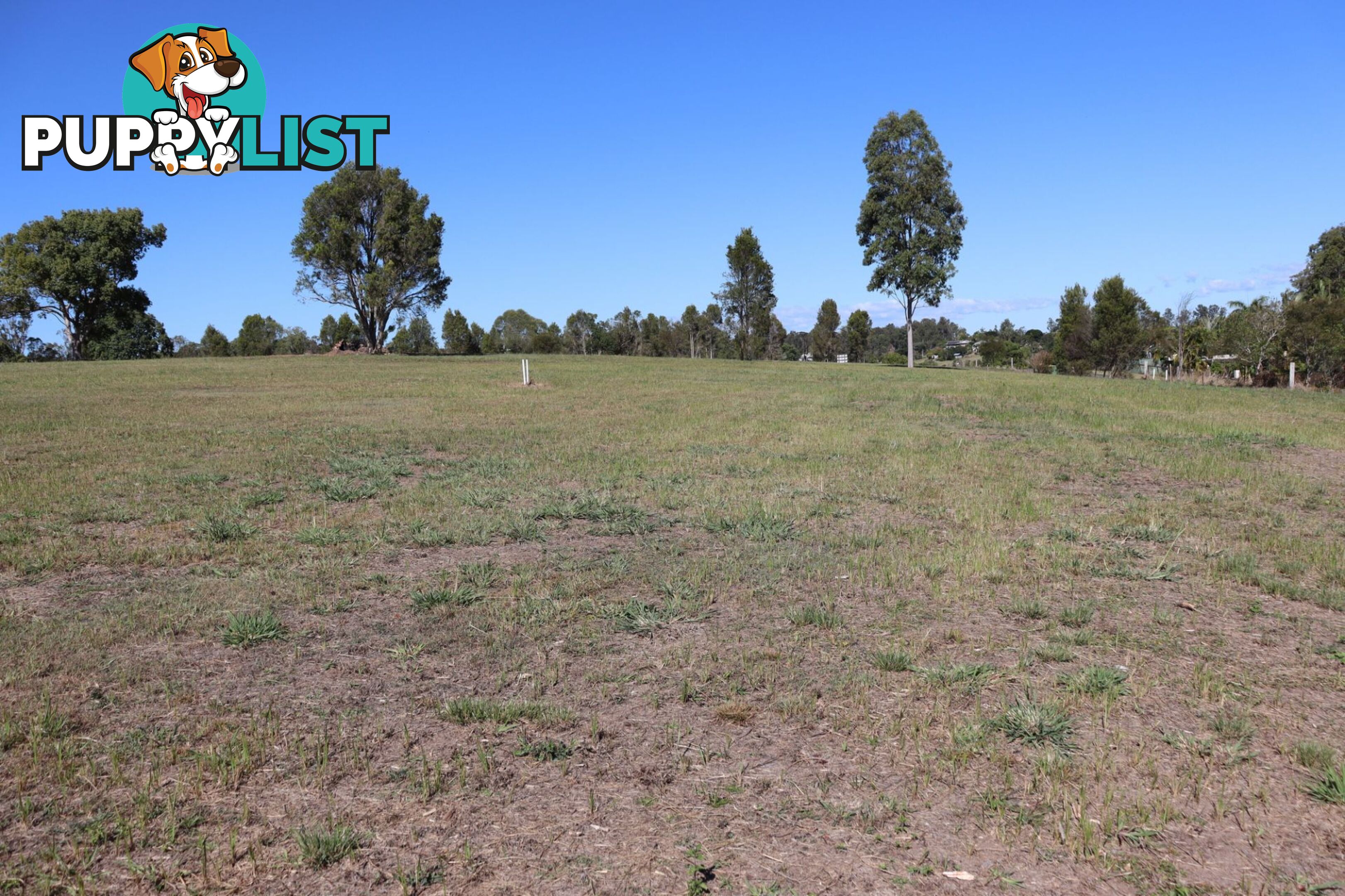 Lot 6 "Acres on Taylor" Veteran QLD 4570