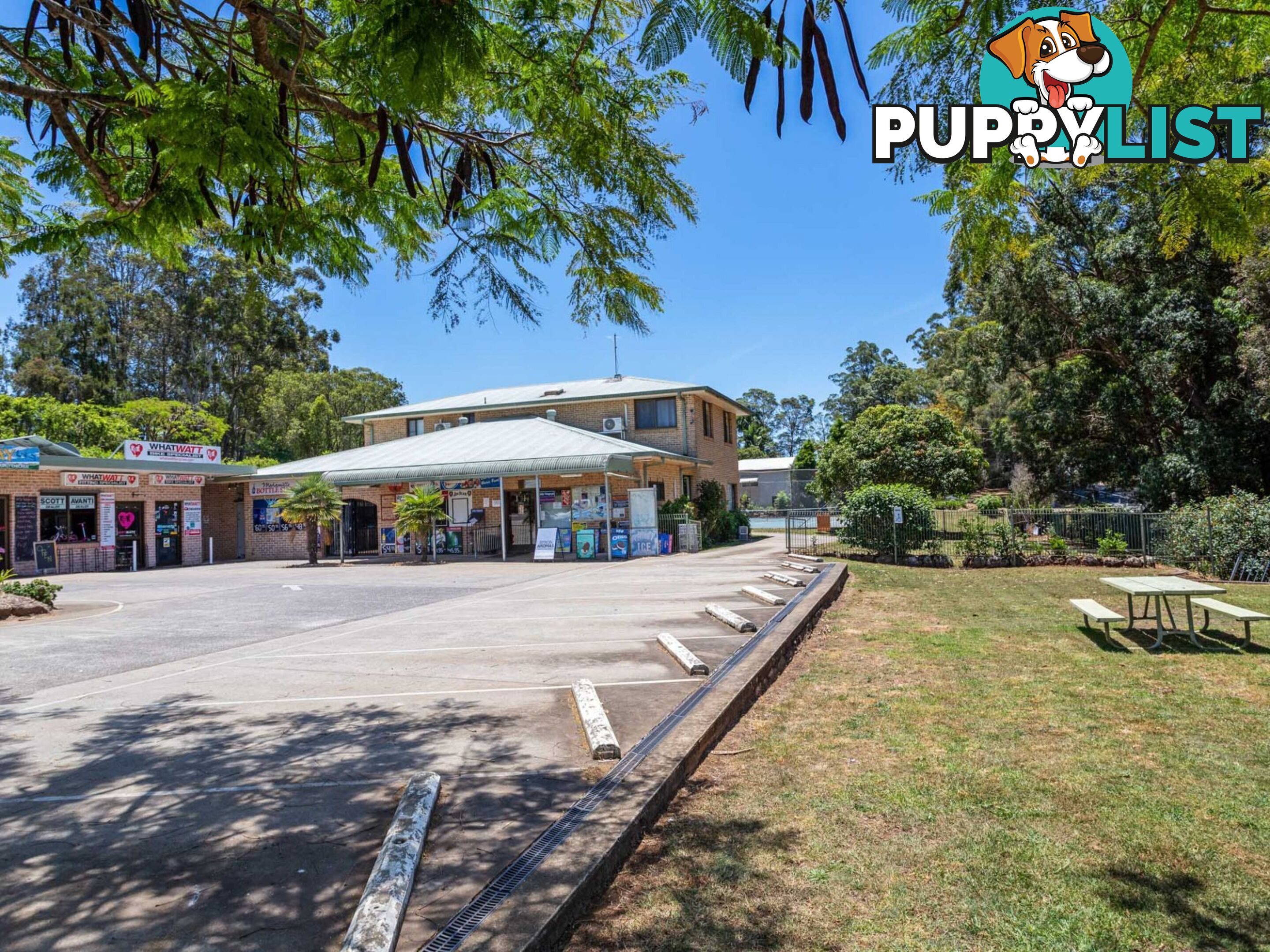 6 Funnell Dr Modanville NSW 2480