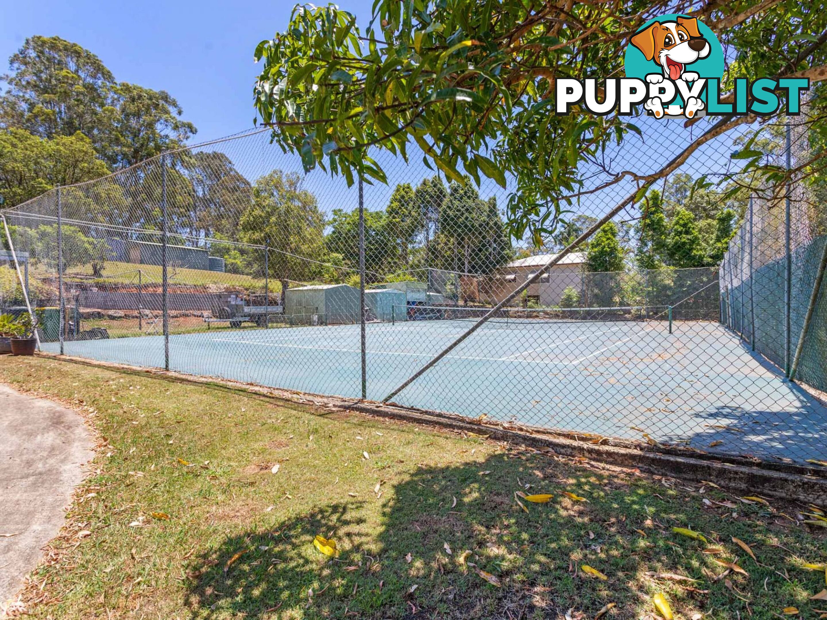 6 Funnell Dr Modanville NSW 2480