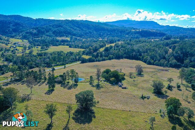 5311 Kyogle Road Cawongla NSW 2474