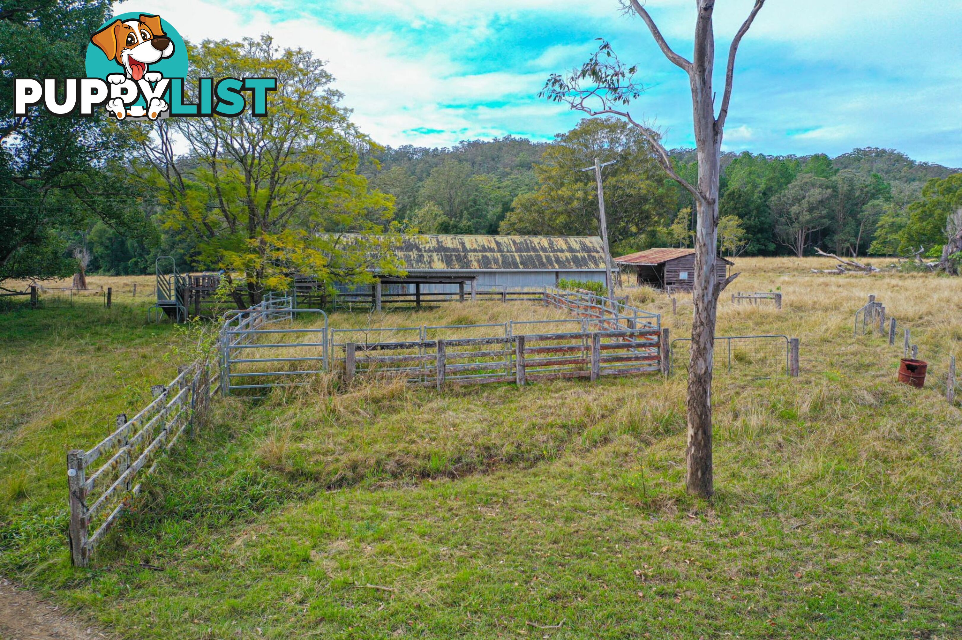 5311 Kyogle Road Cawongla NSW 2474