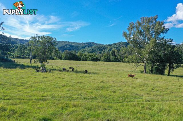 5311 Kyogle Road Cawongla NSW 2474