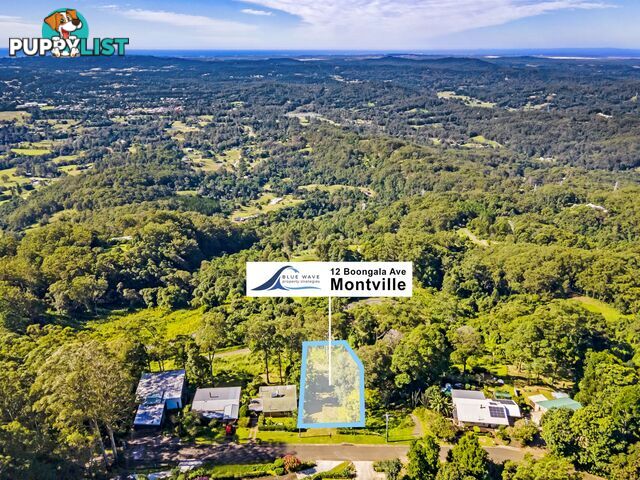 12 Boongala Avenue Montville QLD 4560