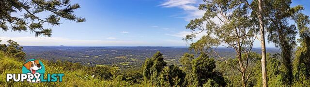 12 Boongala Avenue Montville QLD 4560