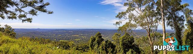 12 Boongala Avenue Montville QLD 4560