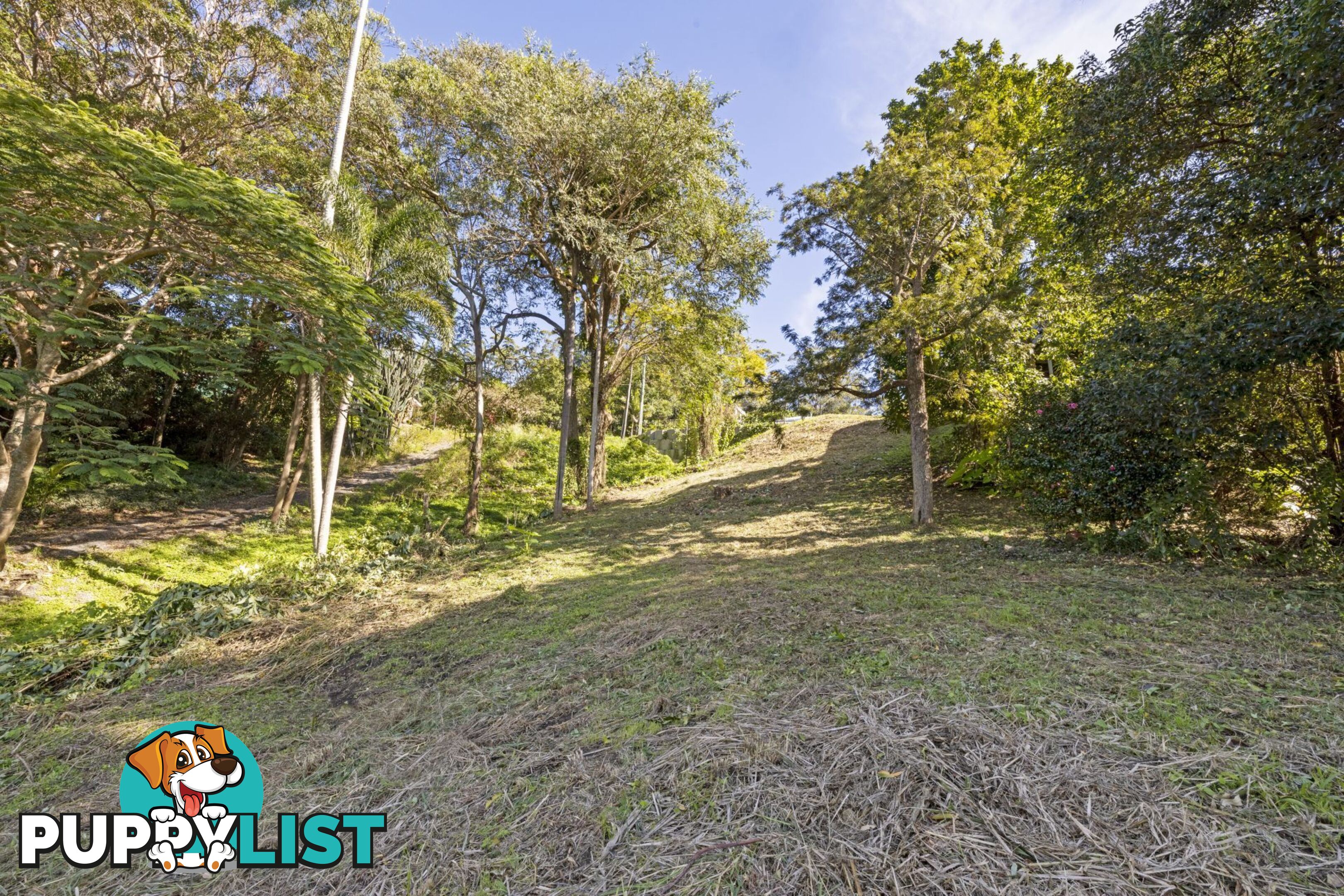 12 Boongala Avenue Montville QLD 4560