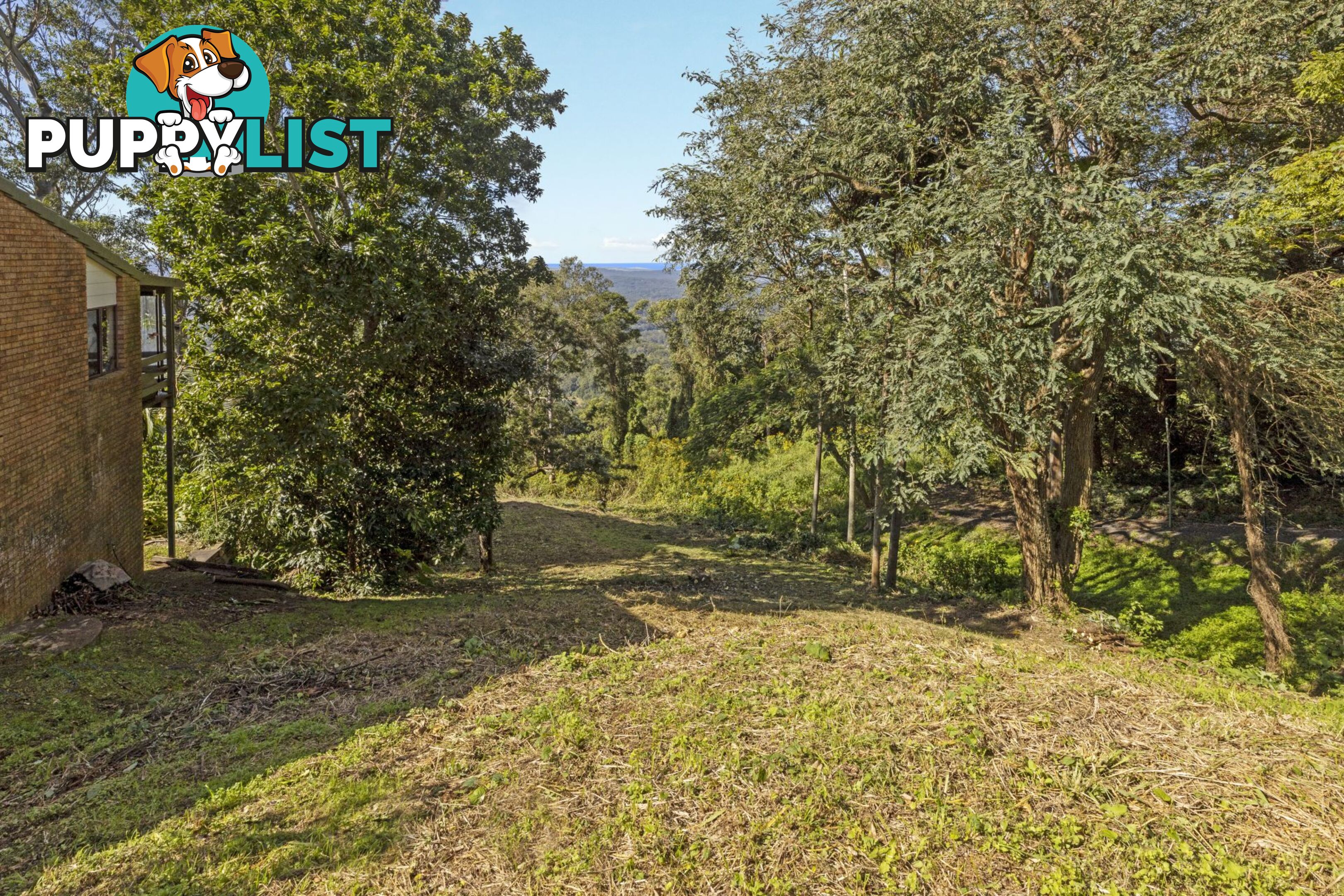 12 Boongala Avenue Montville QLD 4560