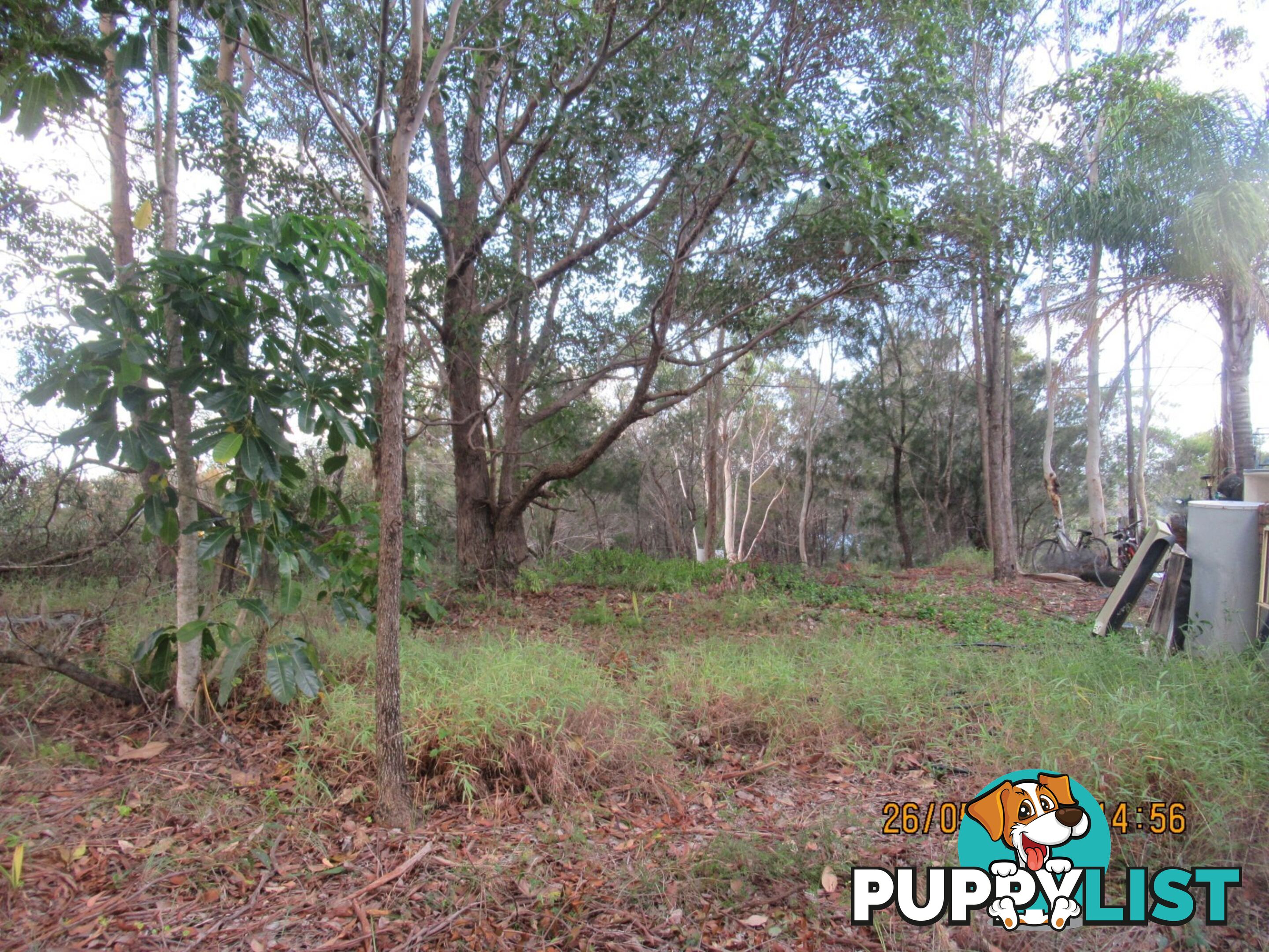 6 Opal Court Russell Island QLD 4184