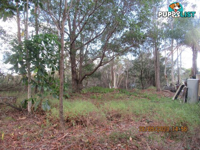 6 Opal Court Russell Island QLD 4184