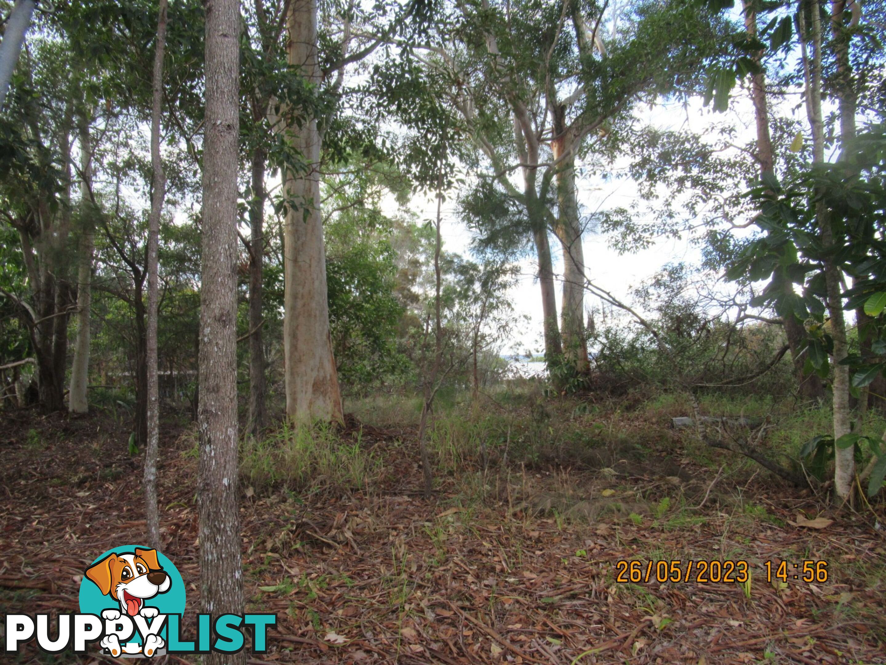 6 Opal Court Russell Island QLD 4184