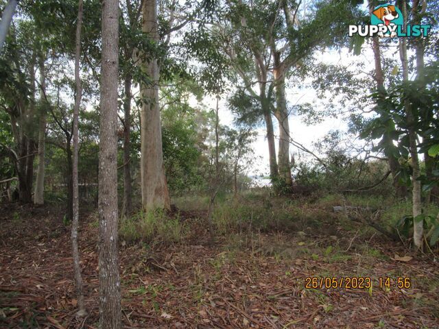 6 Opal Court Russell Island QLD 4184