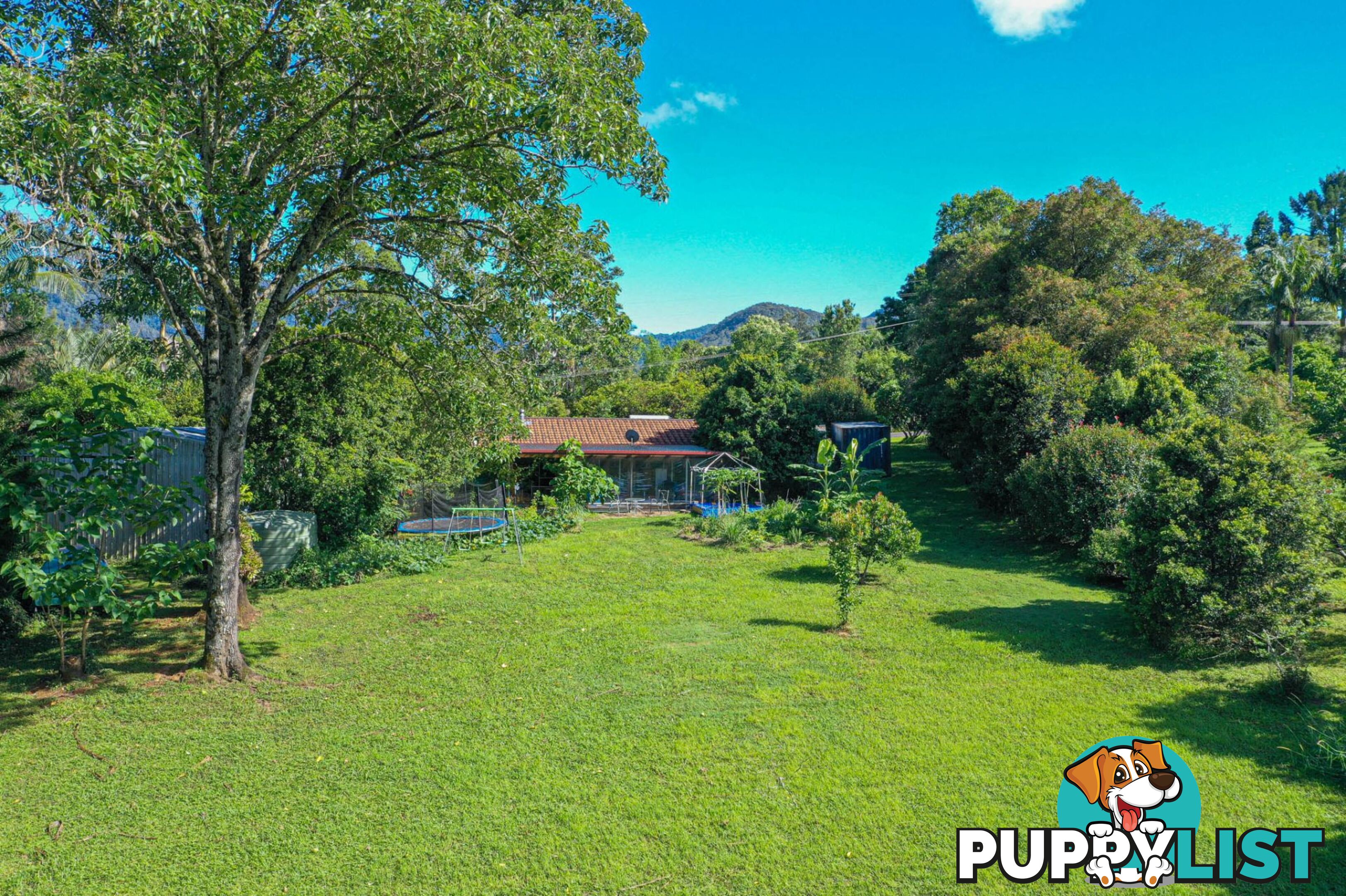 29 Basil Road Nimbin NSW 2480