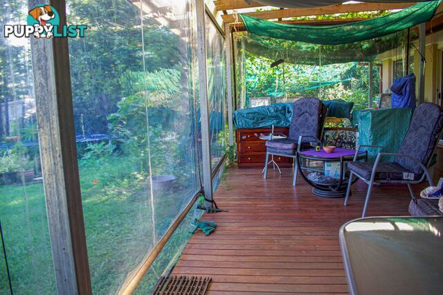 29 Basil Road Nimbin NSW 2480