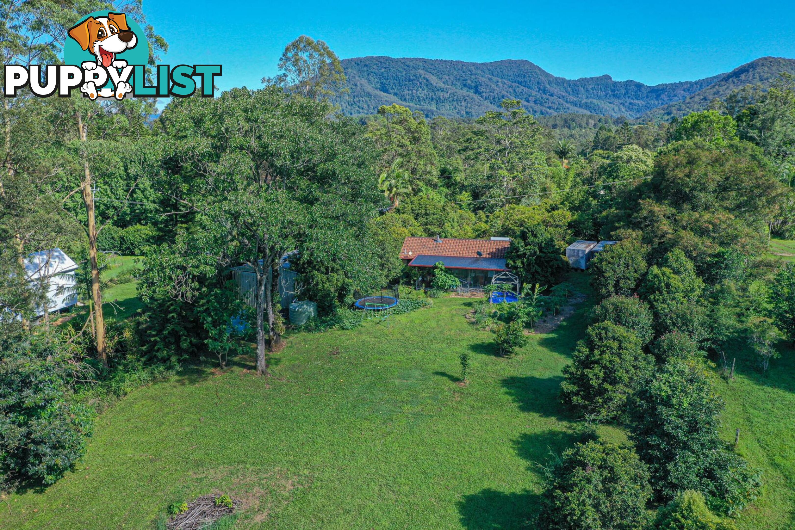 29 Basil Road Nimbin NSW 2480