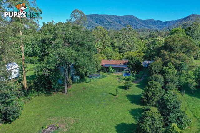 29 Basil Road Nimbin NSW 2480