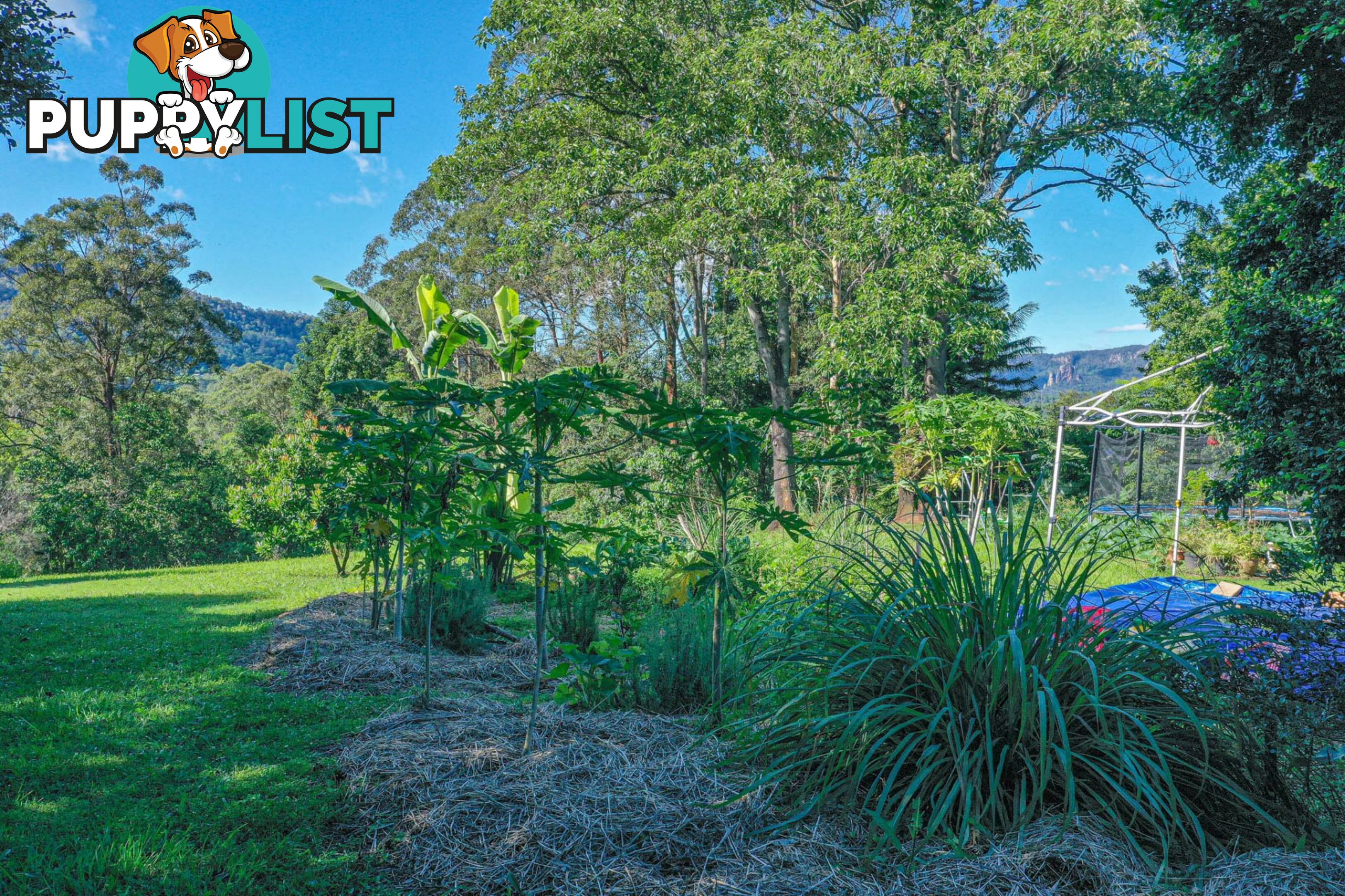 29 Basil Road Nimbin NSW 2480