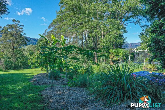 29 Basil Road Nimbin NSW 2480