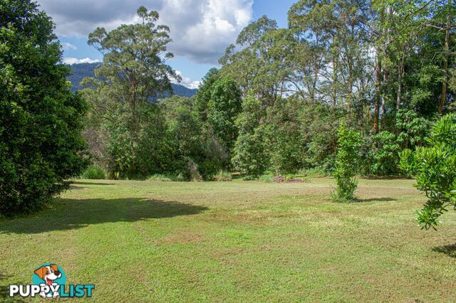 29 Basil Road Nimbin NSW 2480