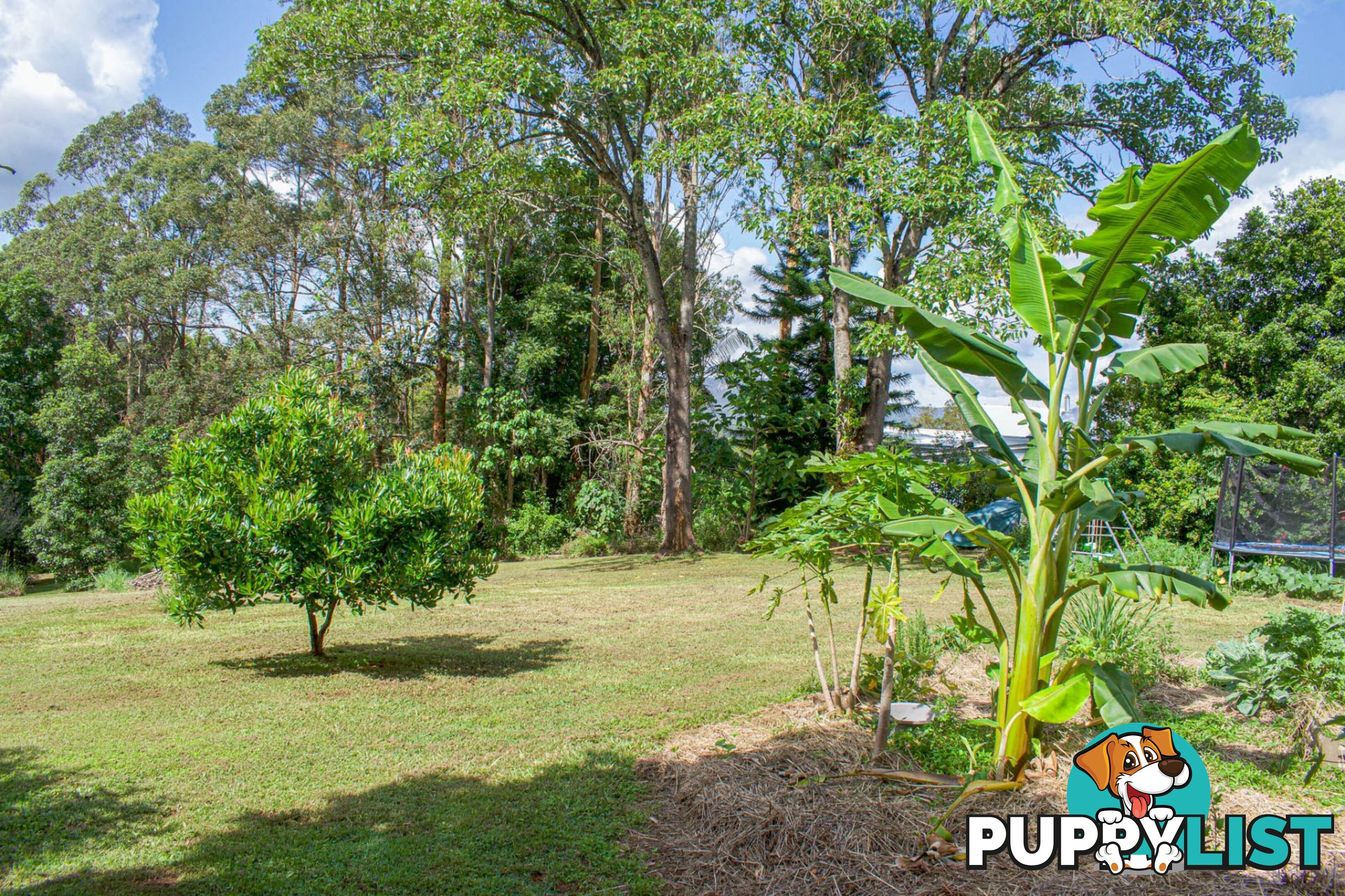 29 Basil Road Nimbin NSW 2480