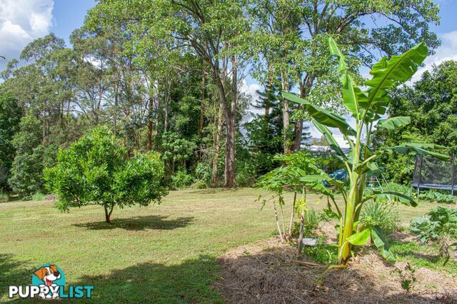 29 Basil Road Nimbin NSW 2480