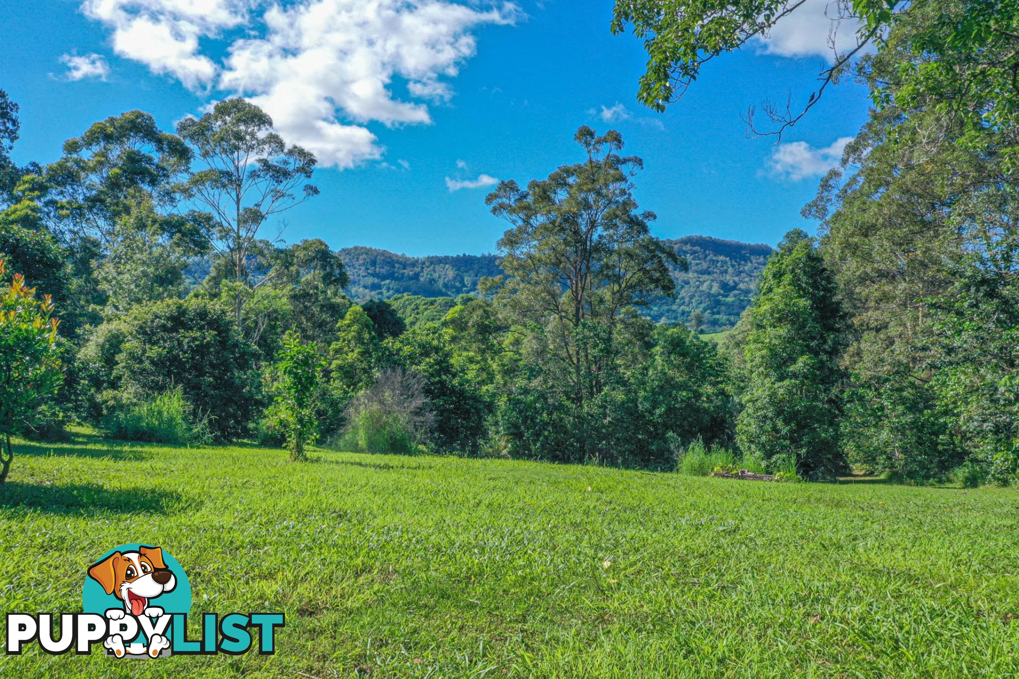 29 Basil Road Nimbin NSW 2480