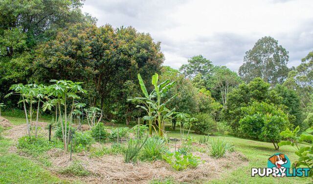 29 Basil Road Nimbin NSW 2480