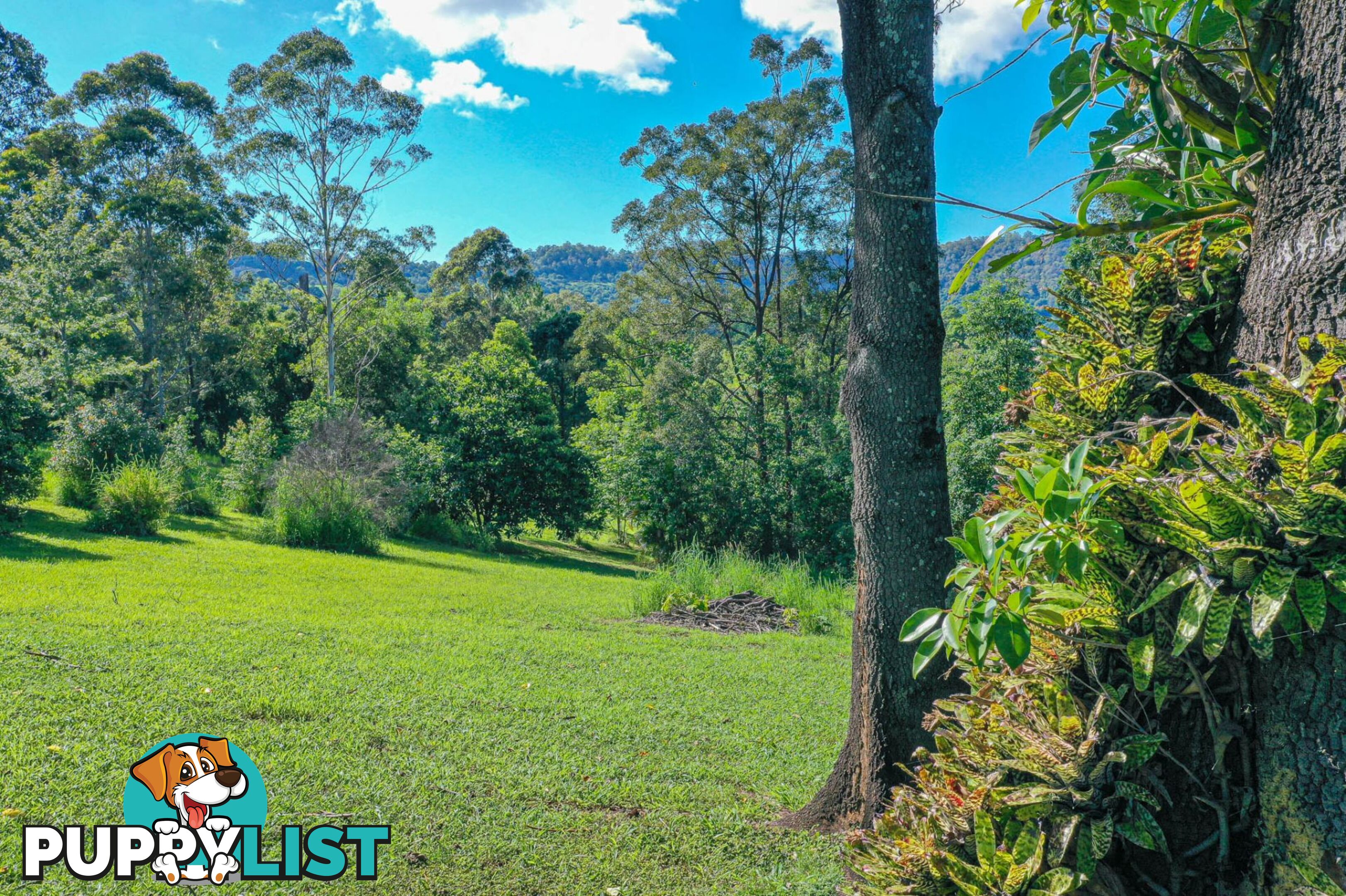 29 Basil Road Nimbin NSW 2480