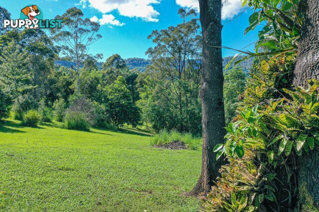 29 Basil Road Nimbin NSW 2480