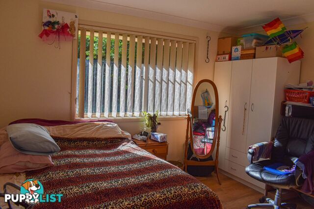 29 Basil Road Nimbin NSW 2480