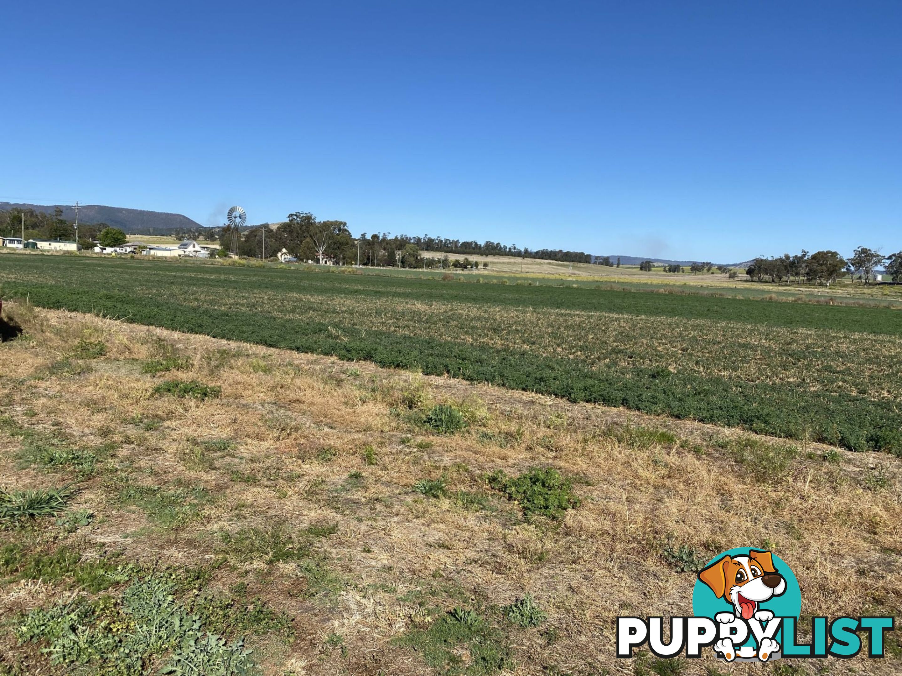 Lot 15 Tannymorel Road Tannymorel QLD 4372