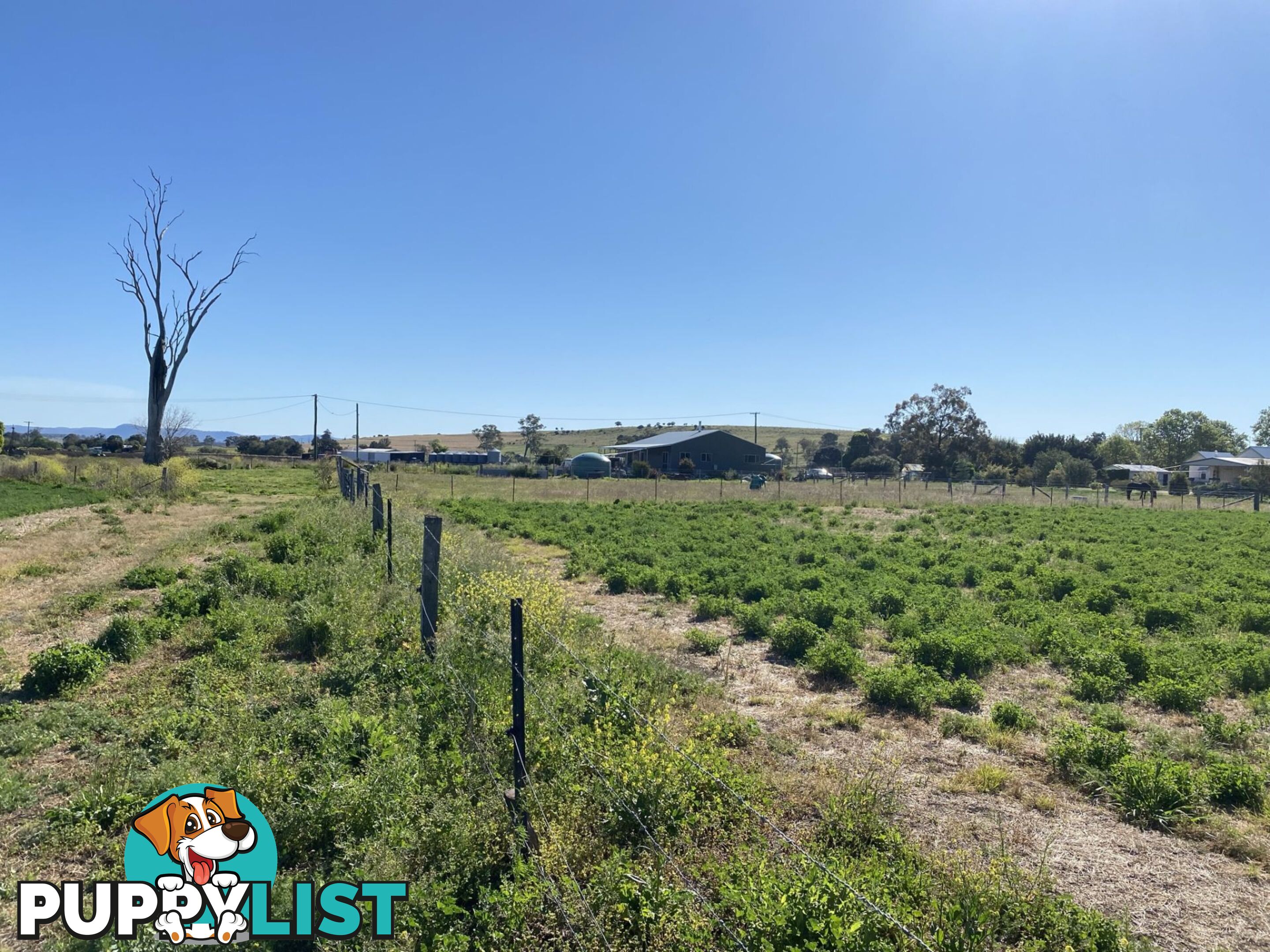 Lot 15 Tannymorel Road Tannymorel QLD 4372