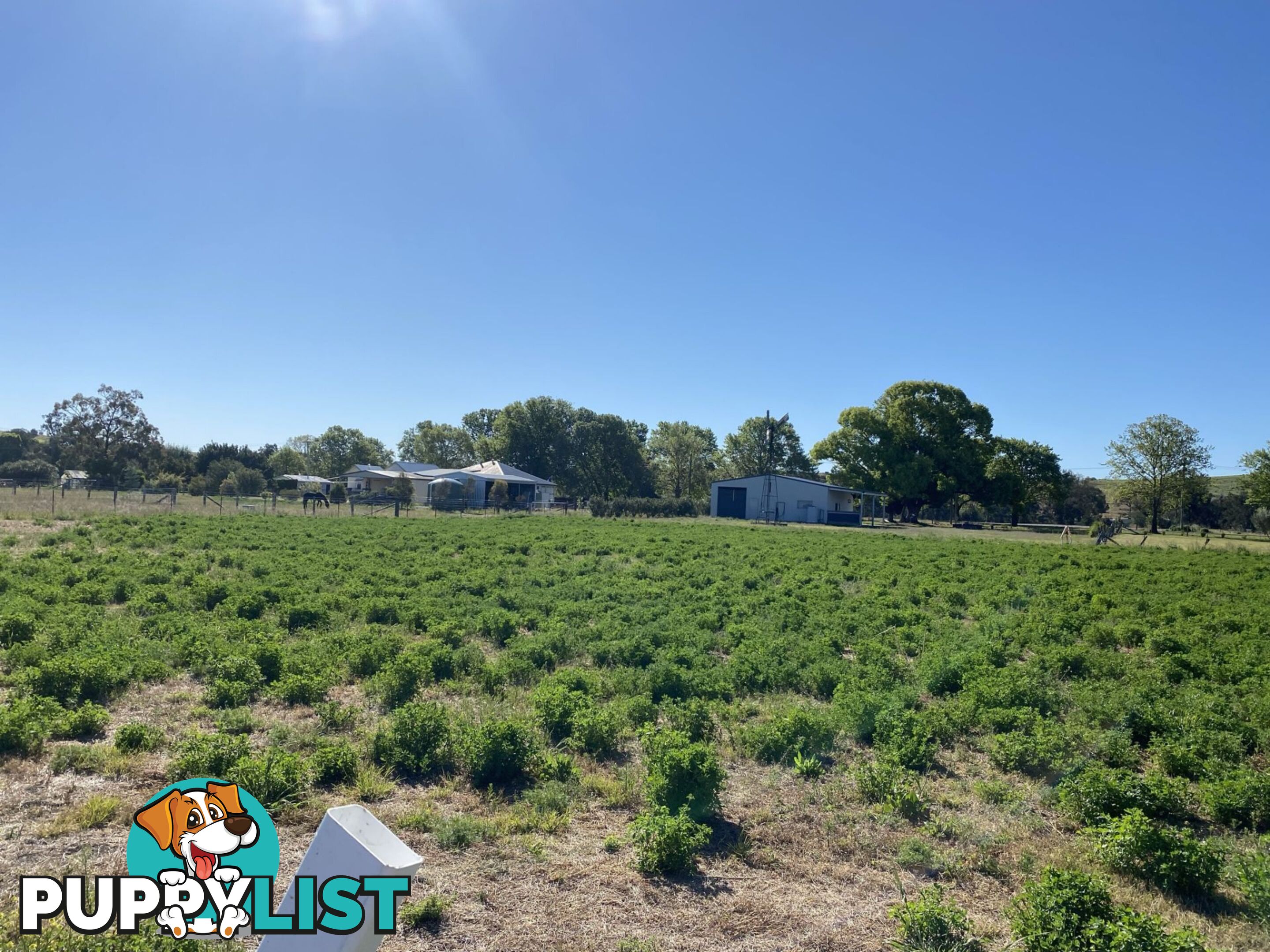 Lot 15 Tannymorel Road Tannymorel QLD 4372