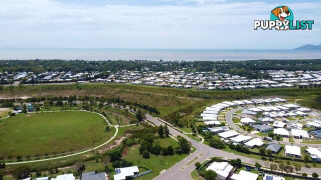 7 Holbourne Street Bushland Beach QLD 4818