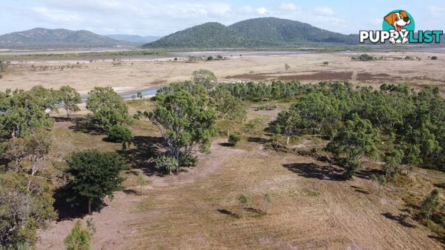 239 Crocodile Creek Road Cape Cleveland QLD 4810