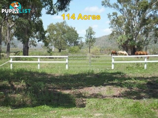 239 Crocodile Creek Road Cape Cleveland QLD 4810